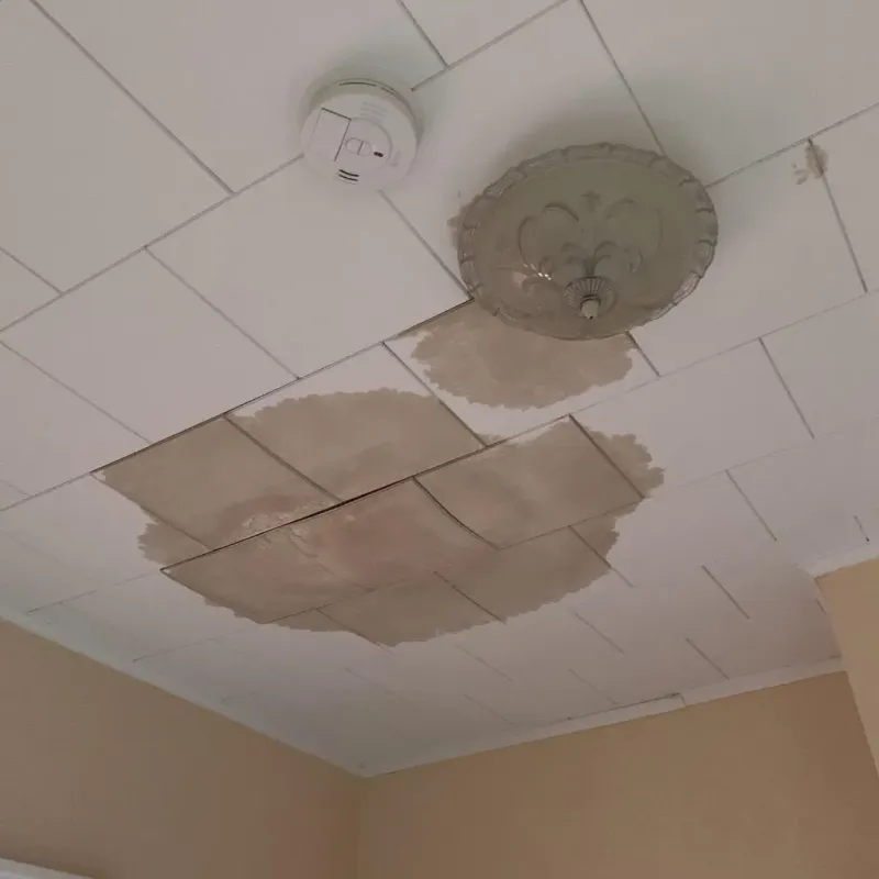 Ceiling Water Damage Repair in Panola County, MS