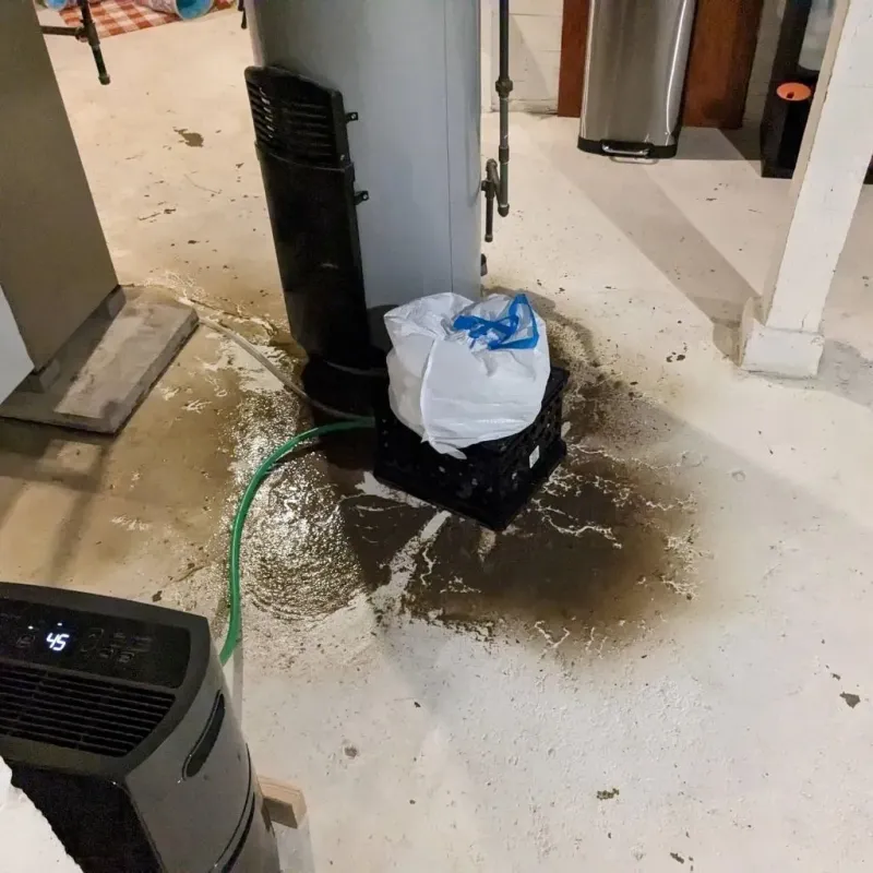 Sewage Backup Cleanup Service in Panola County, MS